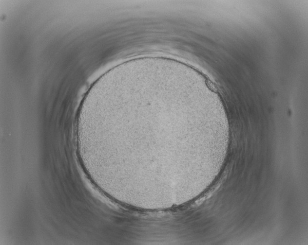 X0000067481526200605051659