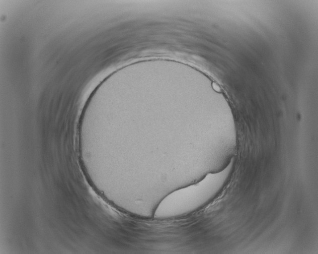 X0000067481527200605051659