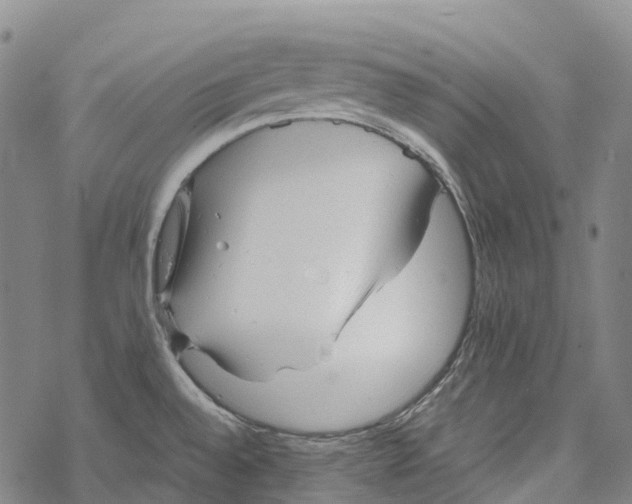 X0000067481528200605051659