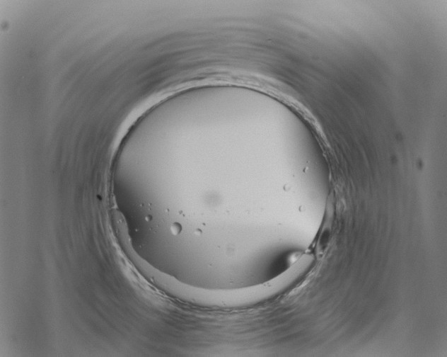 X0000067481530200605051659