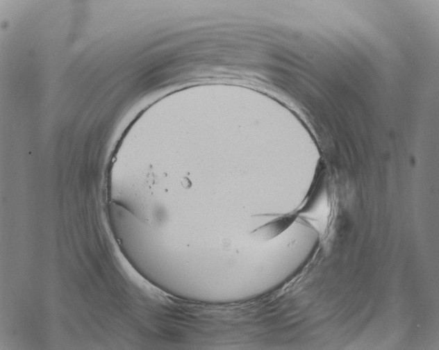 X0000067481531200605051659