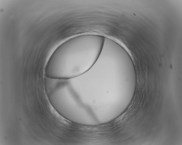 X0000067481532200605051659