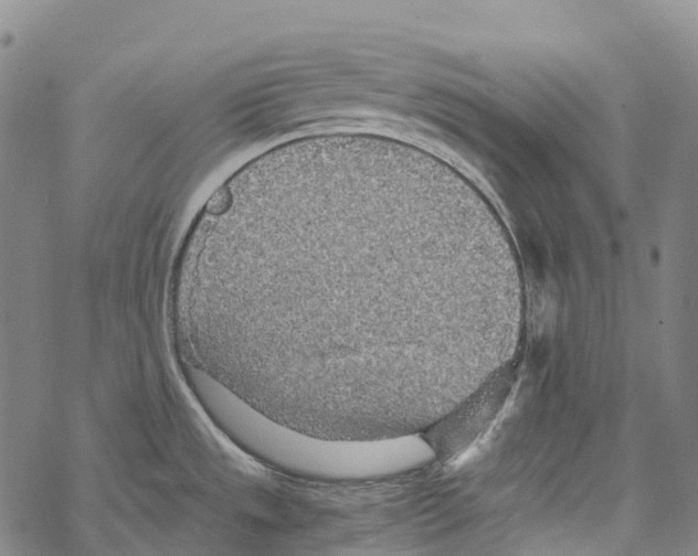 X0000067481533200605051659