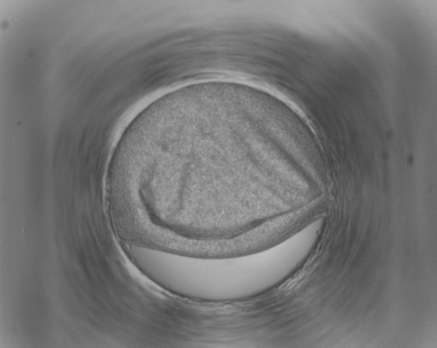 X0000067481535200605051700