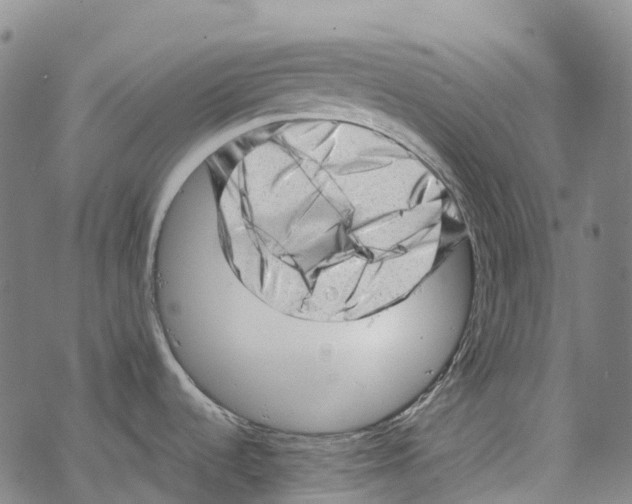 X0000067481536200605051700