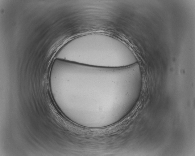 X0000067490002200604071004
