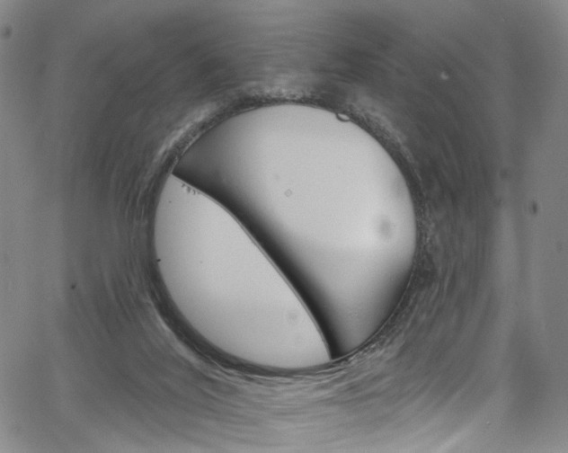 X0000067490020200604071004