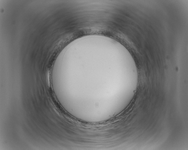 X0000067490022200604071004