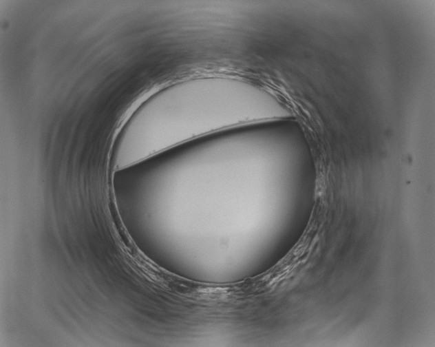 X0000067490052200604071003