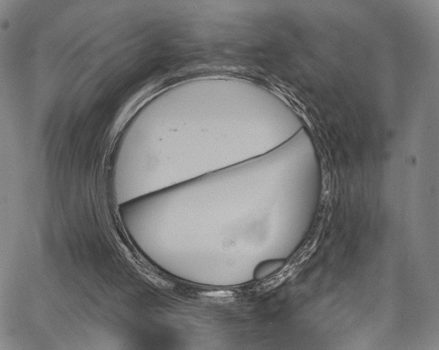 X0000067490053200604071003