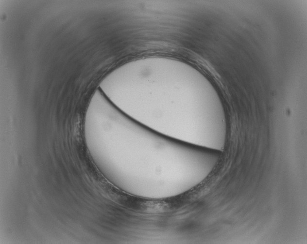 X0000067490073200604071003