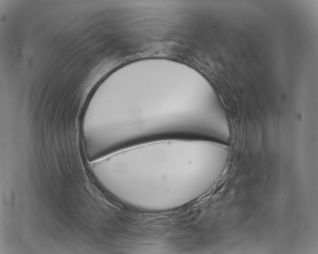 X0000067490100200604071003