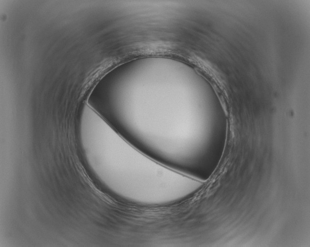 X0000067490105200604071003