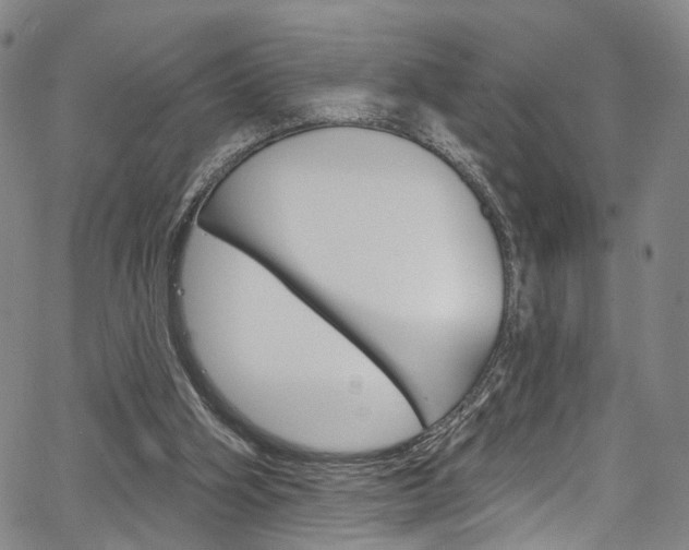X0000067490106200604071003