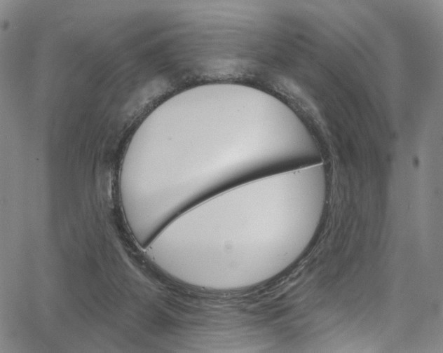 X0000067490115200604071002