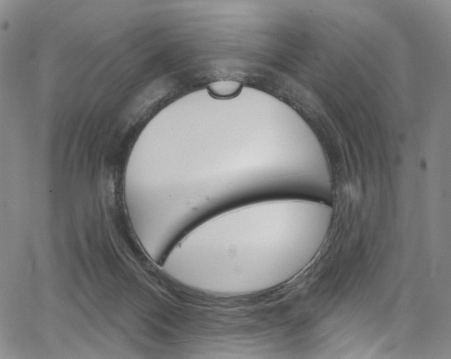 X0000067490120200604071002