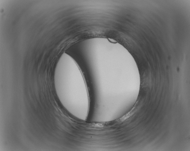 X0000067490140200604071002