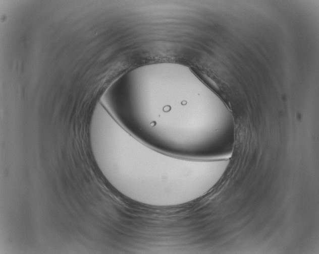 X0000067490141200604071002