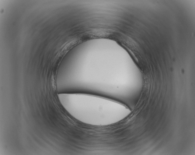 X0000067490143200604071002