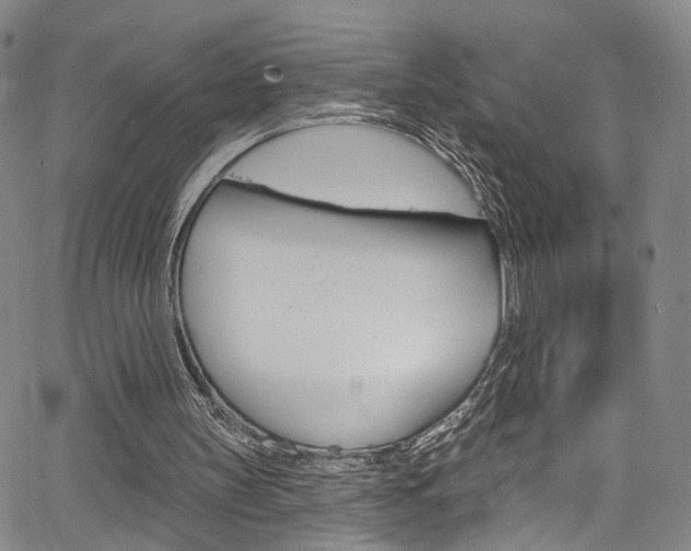 X0000067490147200604071001