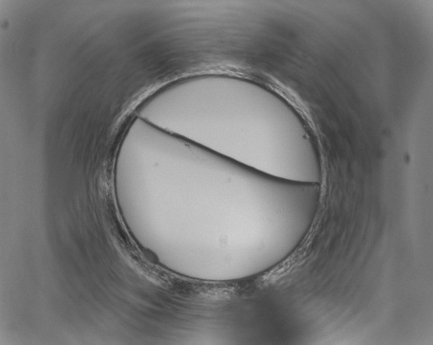 X0000067490155200604071001