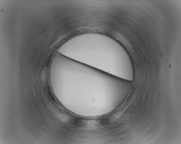 X0000067490165200604071001