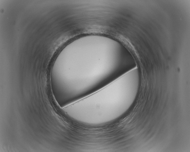 X0000067490204200604071001