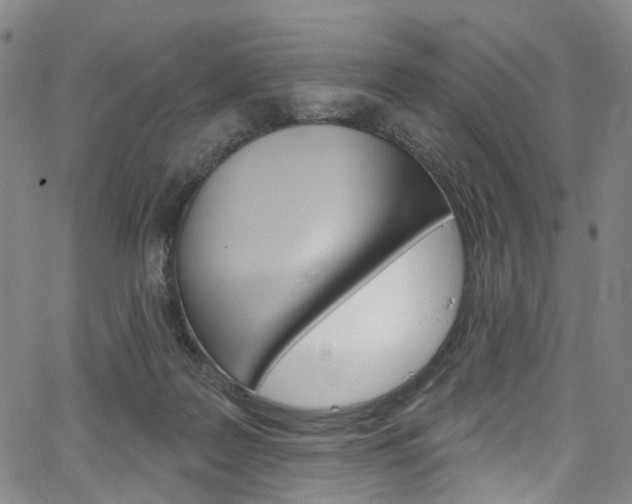 X0000067490219200604071001