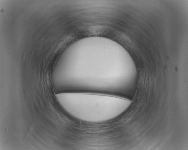 X0000067490220200604071001
