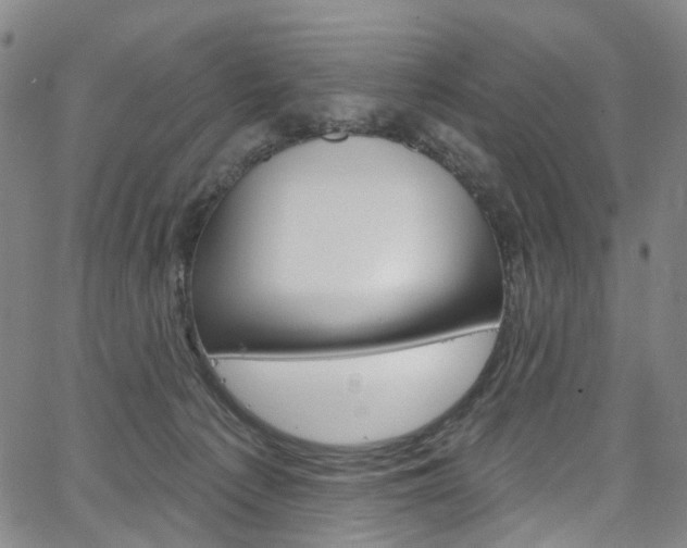 X0000067490225200604071001