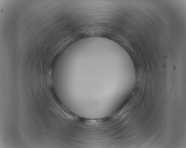 X0000067490239200604071000