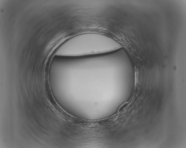 X0000067490243200604071000