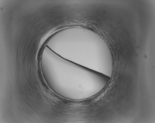 X0000067490246200604071000