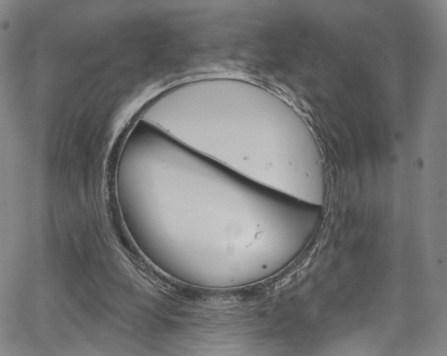 X0000067490248200604071000