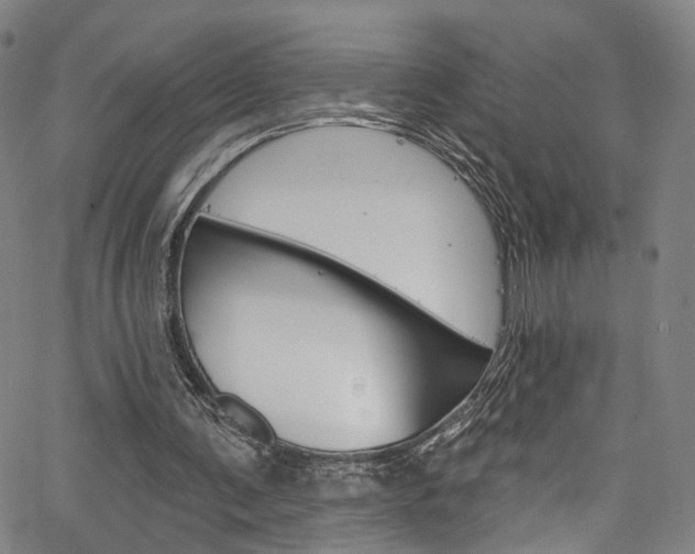 X0000067490291200604071000
