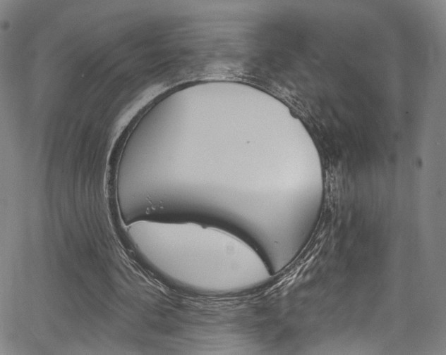 X0000067490292200604071000