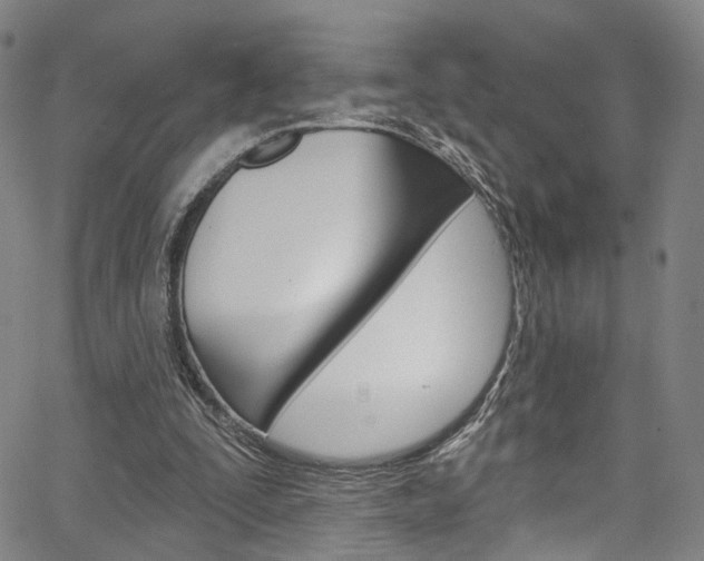 X0000067490295200604070959