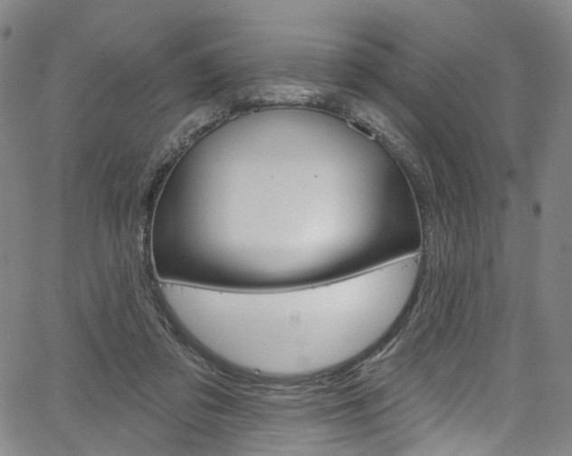 X0000067490309200604070959
