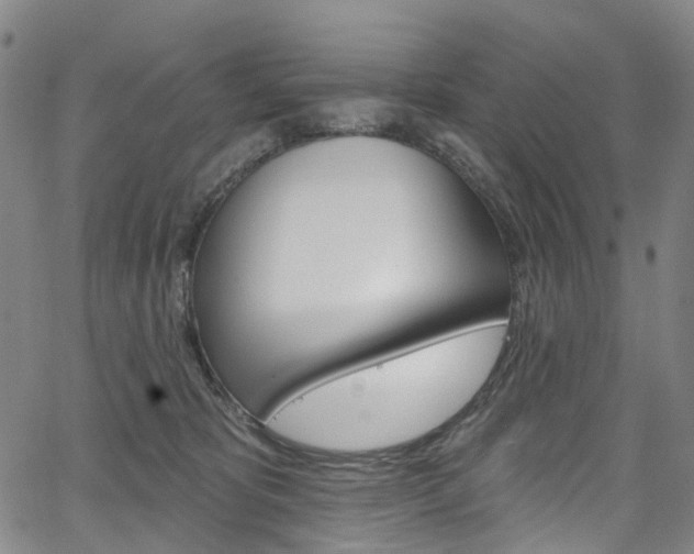 X0000067490325200604070959