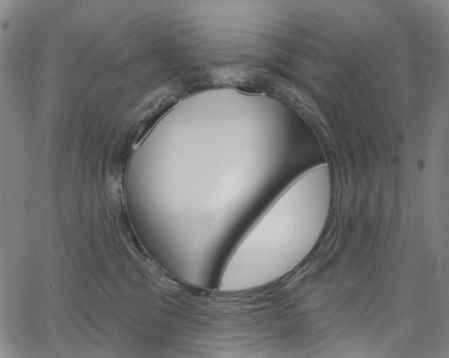 X0000067490329200604070959