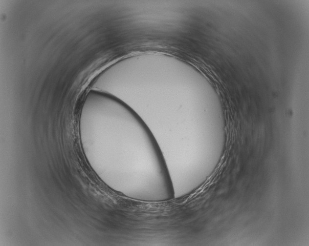 X0000067490338200604070958