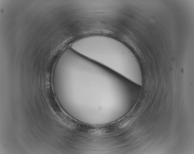 X0000067490356200604070958