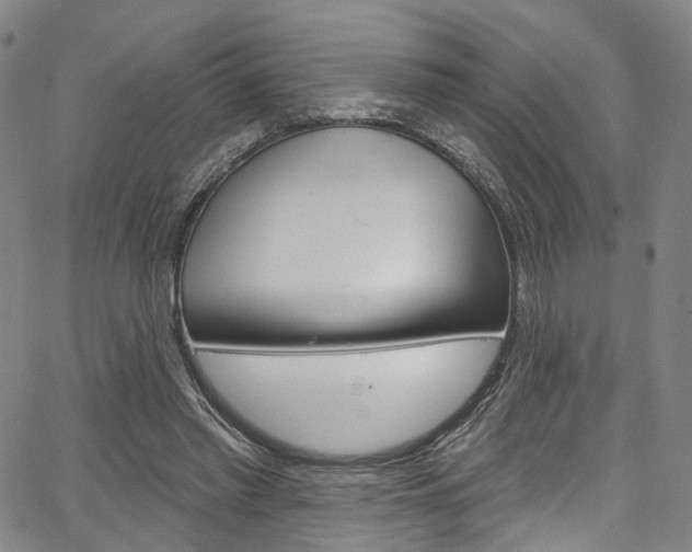 X0000067490397200604070958