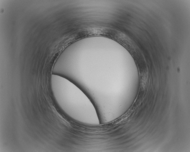 X0000067490410200604070958