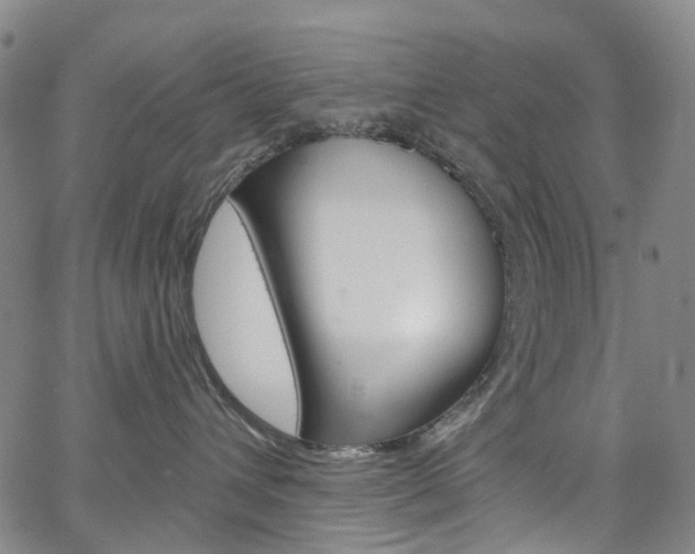X0000067490432200604070957