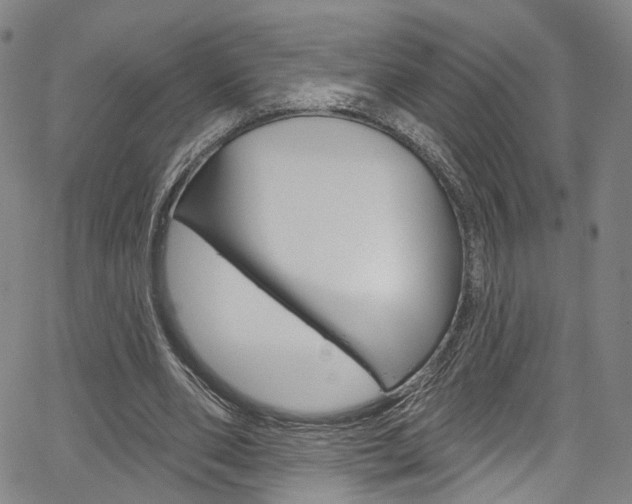 X0000067490486200604070956
