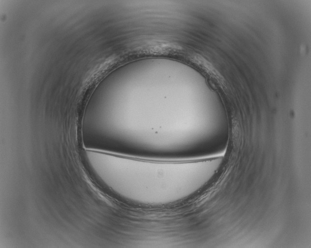 X0000067490493200604070956