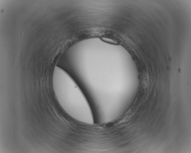 X0000067490512200604070956