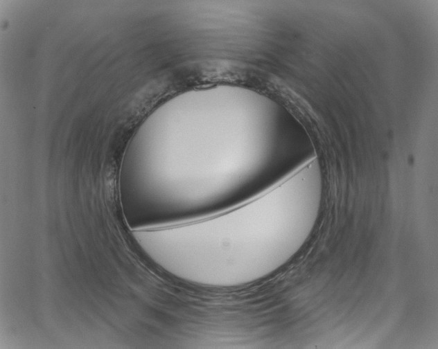 X0000067490513200604070956
