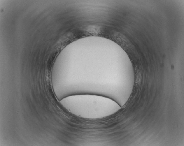 X0000067490518200604070956